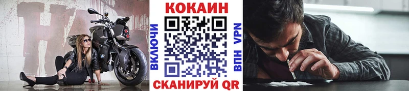 COCAIN Эквадор Судогда