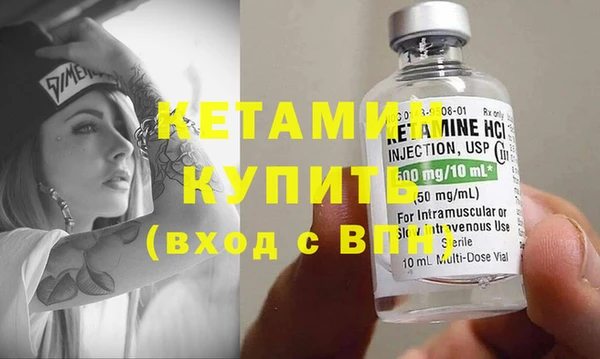 индика Новозыбков