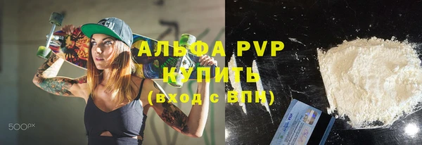 крисы Новокубанск