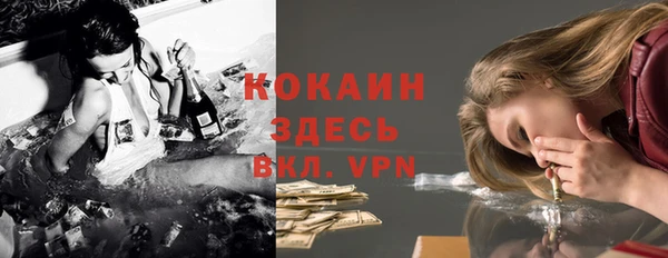 дмт Новодвинск