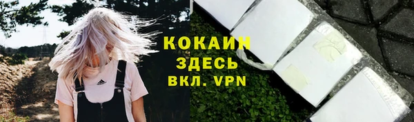 индика Новозыбков