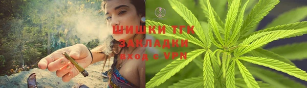 индика Новозыбков
