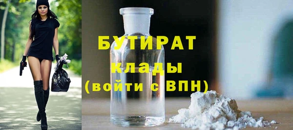 индика Новозыбков
