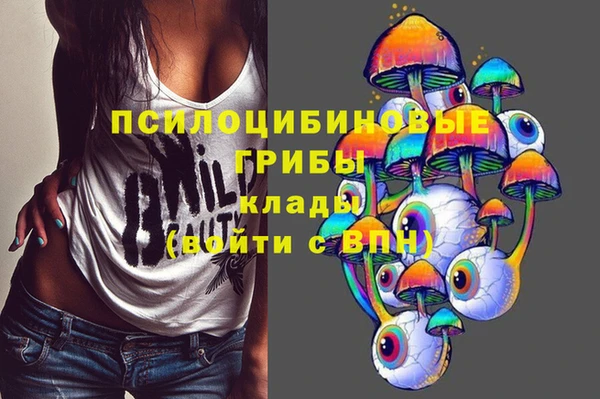 индика Новозыбков