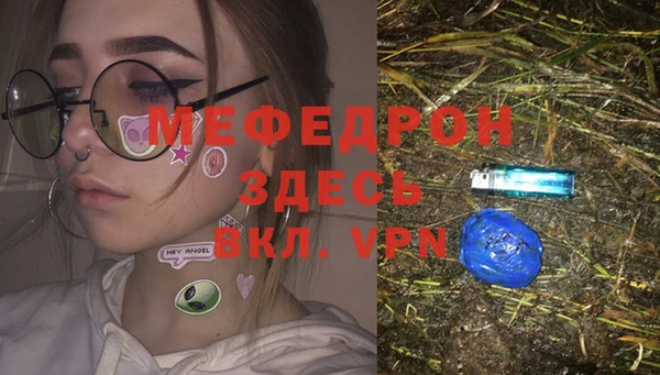 индика Новозыбков