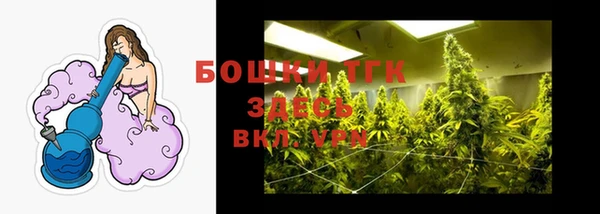 крисы Новокубанск
