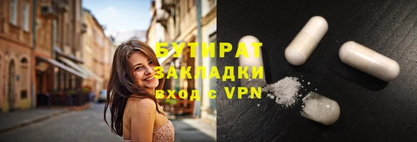 индика Новозыбков