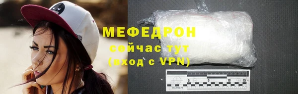 индика Новозыбков