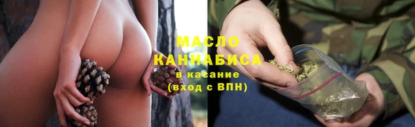 дмт Новодвинск