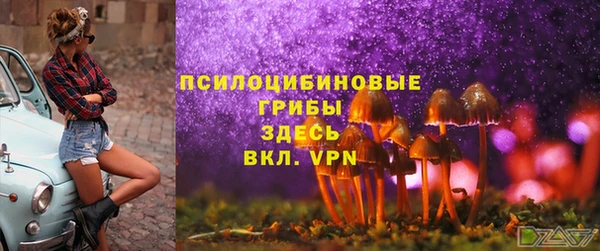 дмт Новодвинск