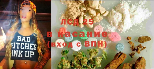 индика Новозыбков