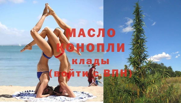 индика Новозыбков