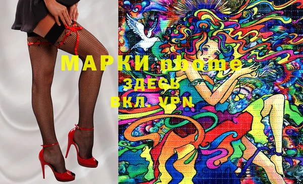крисы Новокубанск