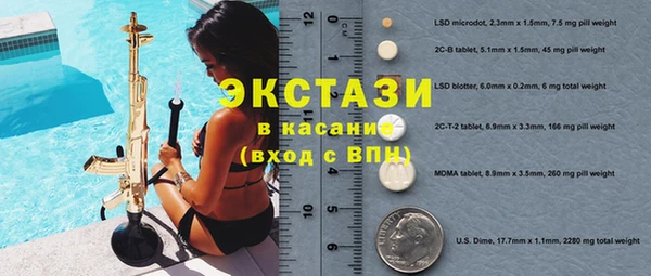 индика Новозыбков