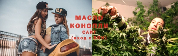 индика Новозыбков