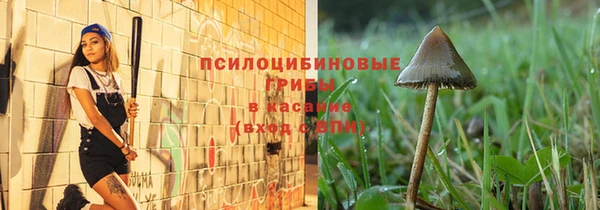 дмт Новодвинск
