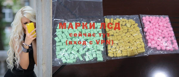 индика Новозыбков