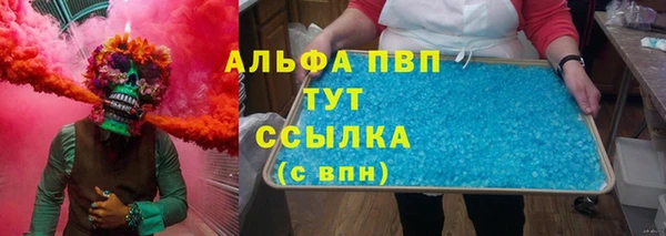 крисы Новокубанск