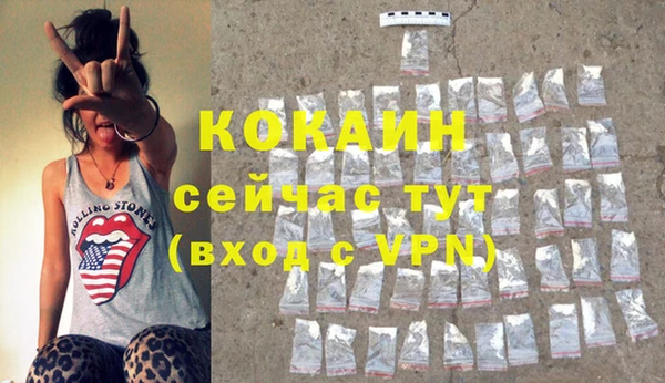 индика Новозыбков