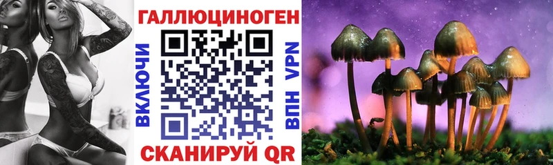 Псилоцибиновые грибы ЛСД  Судогда 