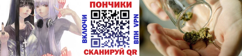 Каннабис планчик  наркошоп  Судогда 
